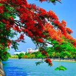 Thủ Tục Dịch Công Chứng Việt – Anh tại Hải Phòng