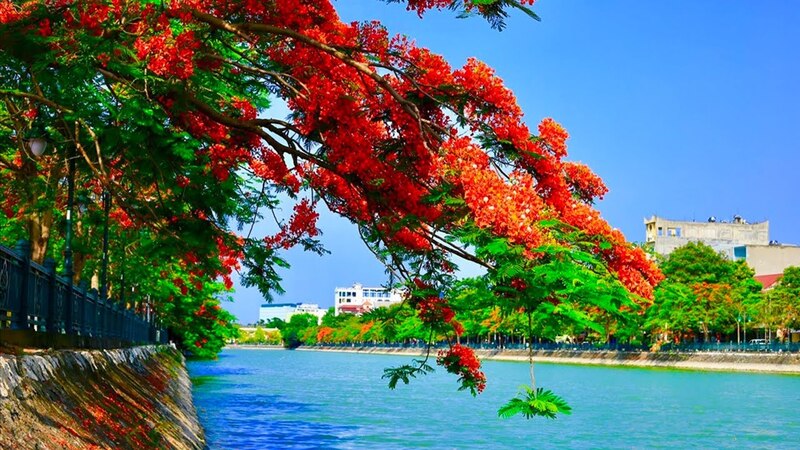 Thủ Tục Dịch Công Chứng Việt – Anh tại Hải Phòng