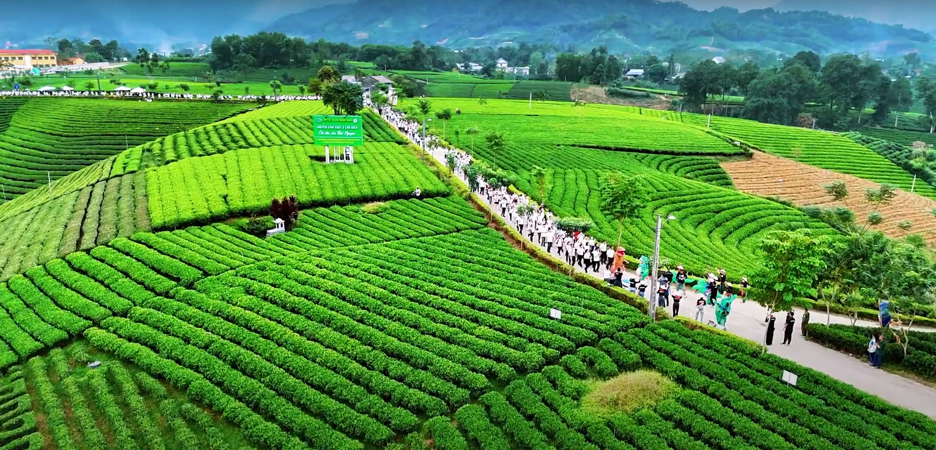 Thủ tục dịch công chứng Việt – Anh tại Thái Nguyên